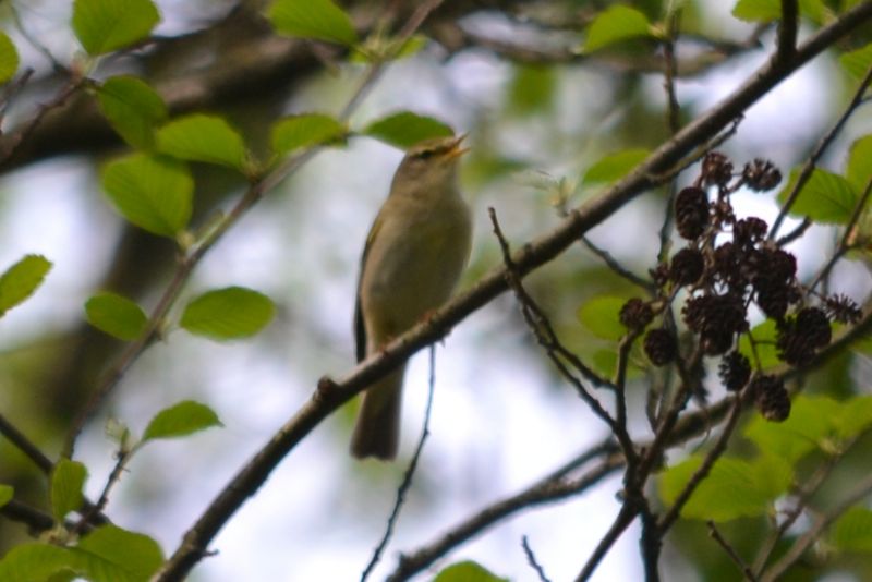 sono tutti lu� piccoli?